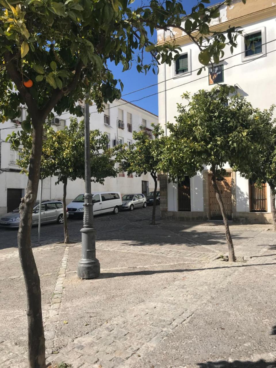 Apartamento !!VIVE JEREZ!! Jerez de la Frontera Esterno foto